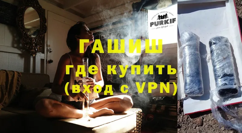 ГАШ Premium  гидра   Каргат 